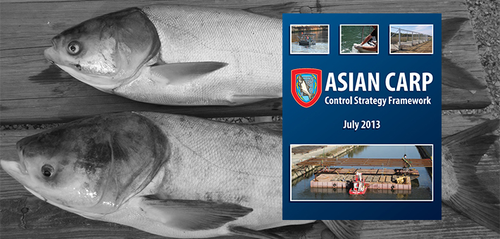 2013 Asian Carp Control Strategy Framework. Photo courtesy of ACRCC.