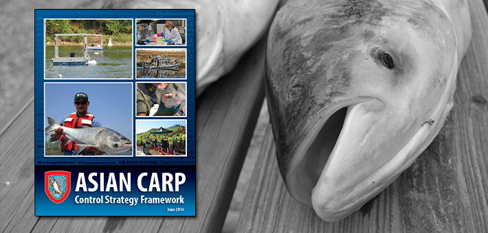 2014 Asian Carp Control Strategy Framework. Photo by ACRCC.