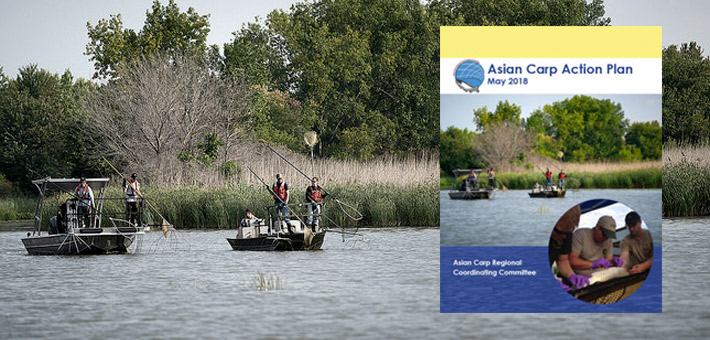 The cover of the 2018 Asian Carp Action Plan.