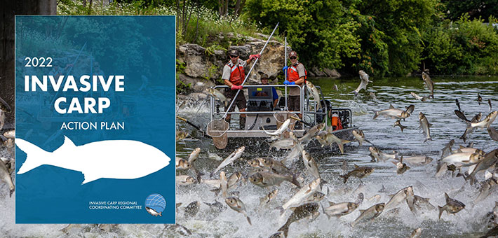 U.S. Fish and Wildlife Service staff electrofishing as silver carp jump around the boat. The cover of the 2022 Action Plan is displayed beside them.