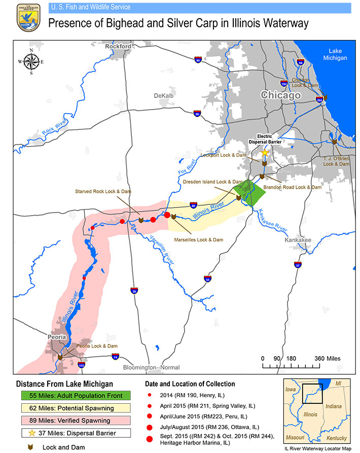 Map showing the presence of Bighead and Silver Carp in Illinois Waterway.