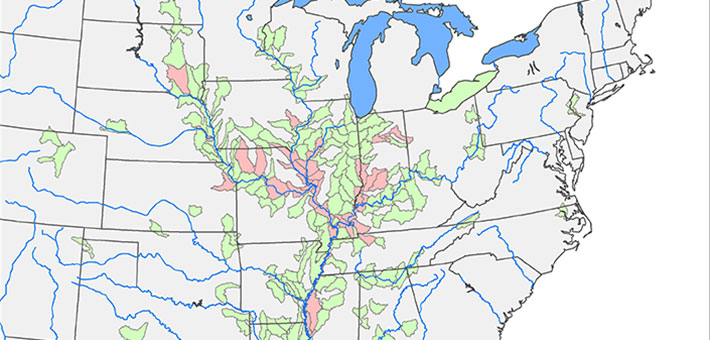 Distribution map of both bighead and silver carp in the Mississippi River, Ohio River, and Great Lakes in North America. Photo by ACRCC.