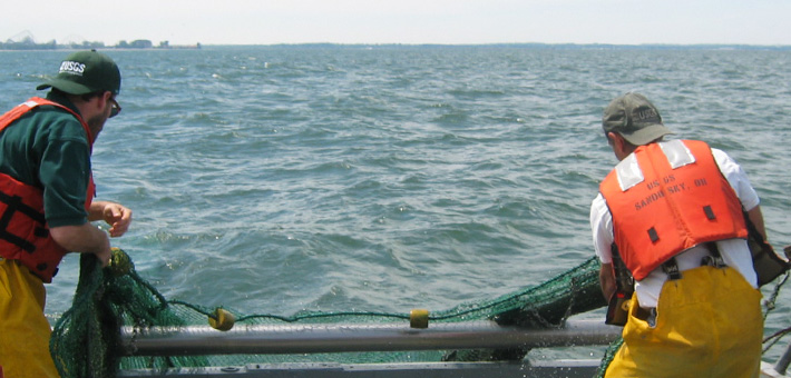 USGS scientists conducting a fishery assessment on Lake Erie. Photo by USGS.