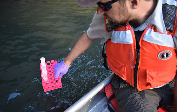 A person holds a test tube holder with sample tubes over the side of a boat.