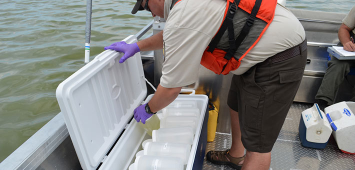 A cooler filled with eDNA water samples. Photo by USFWS.