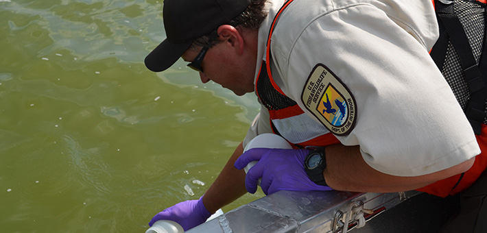 U.S. Fish and Wildlife Service fisheries biologist collects water samples for eDNA analysis. USFWS photo.