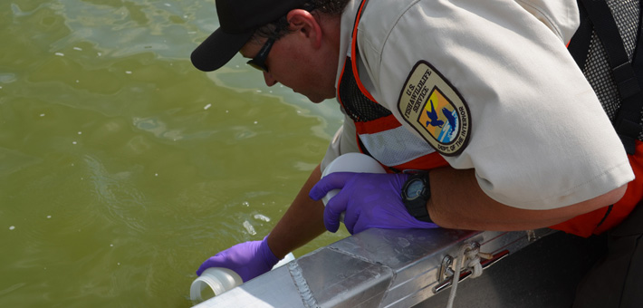 Collecting eDNA water samples. Photo by USFWS.