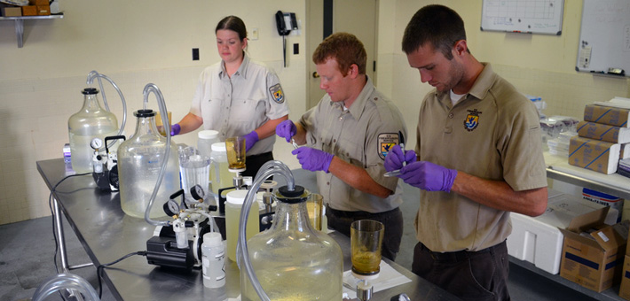 USFWS biologists process eDNA water samples. Photo courtesy of USFWS.