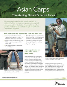 Asian Carps: Threatening Ontario Native Fishes handout.