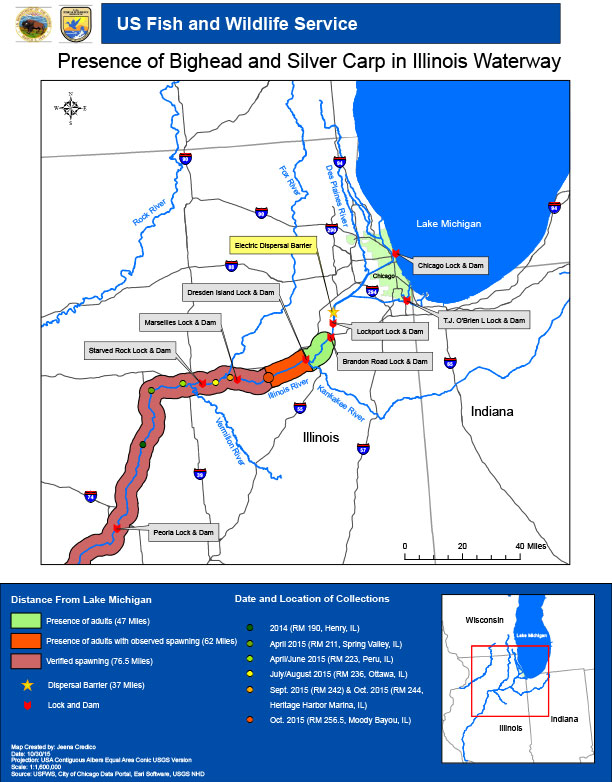 Presence of Bighead and Silver Carp in Illinois Waterway